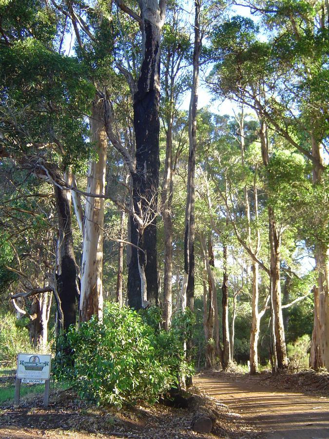 دنمارك Kangaroo Valley Cottage المظهر الخارجي الصورة