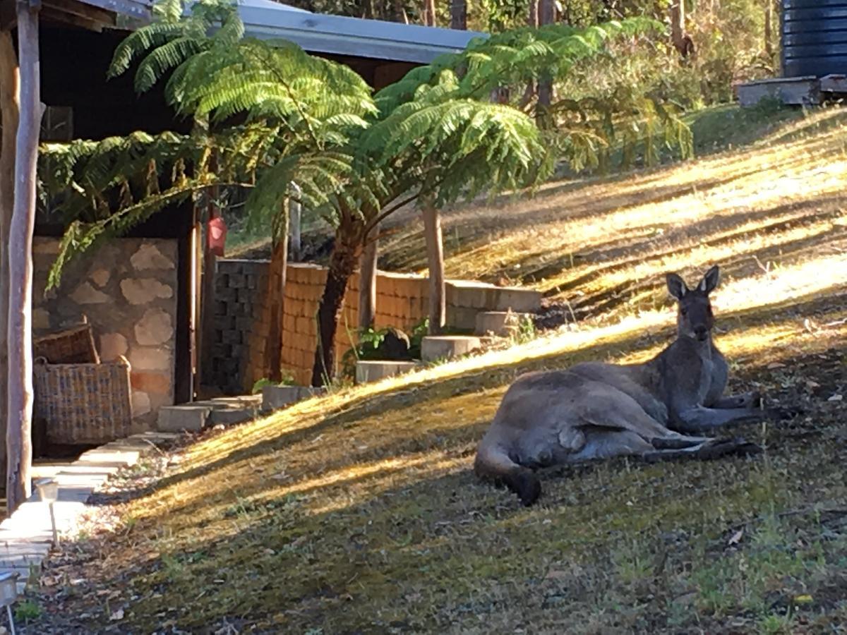 دنمارك Kangaroo Valley Cottage المظهر الخارجي الصورة